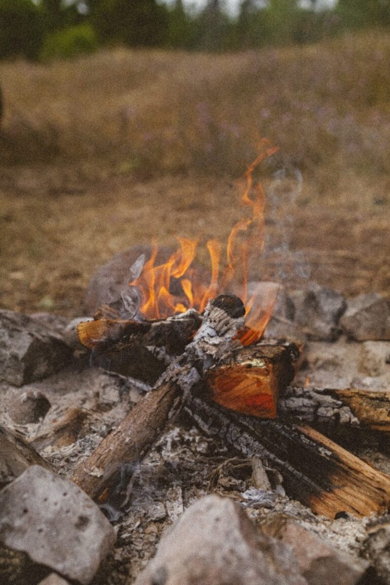 a fire burning in a pit